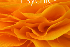 AW_RP_FrontCover