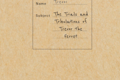 Picture-1